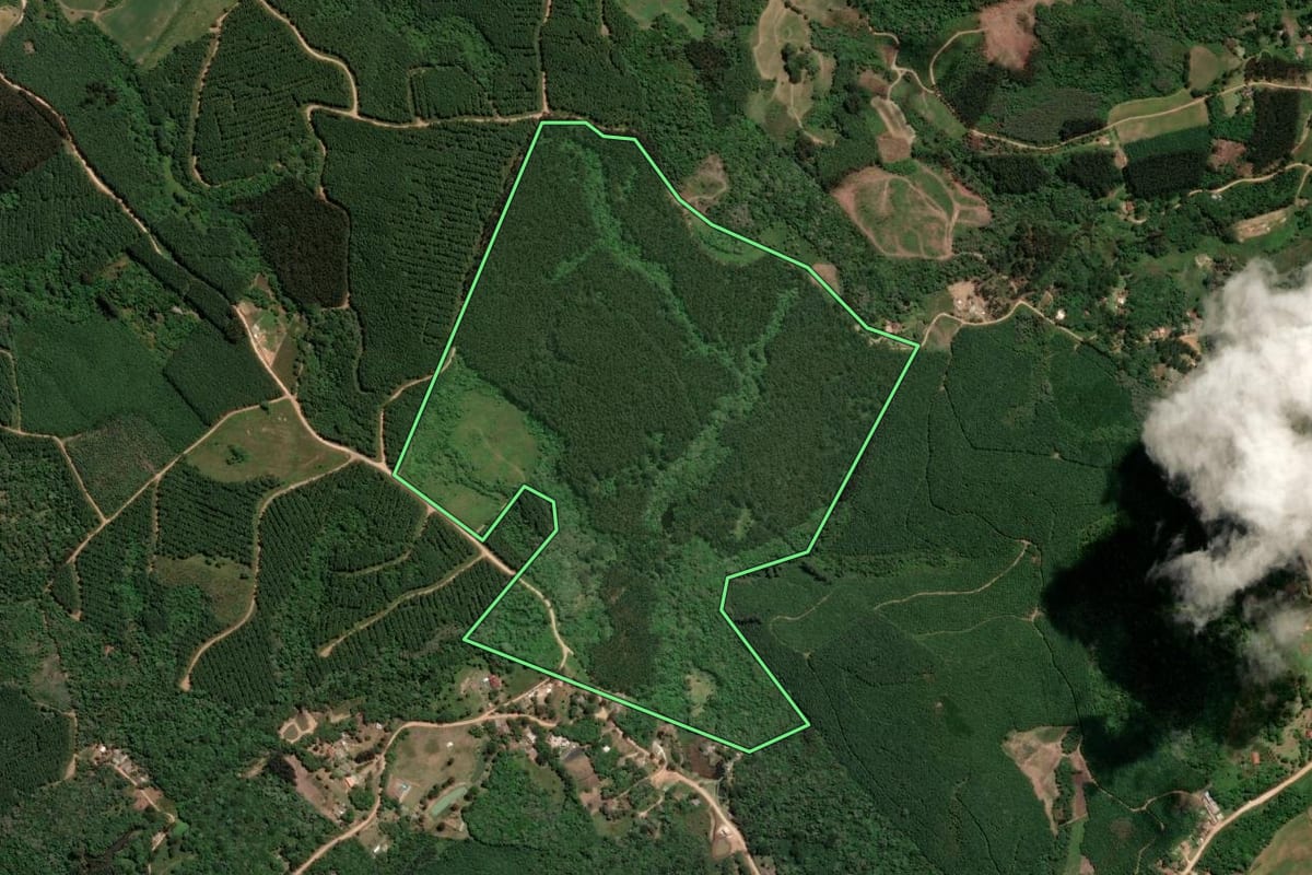 Imagem de satélite do imóvel rural em Mandirituba (PR), com o contorno declarado no CAR desenhado por cima.