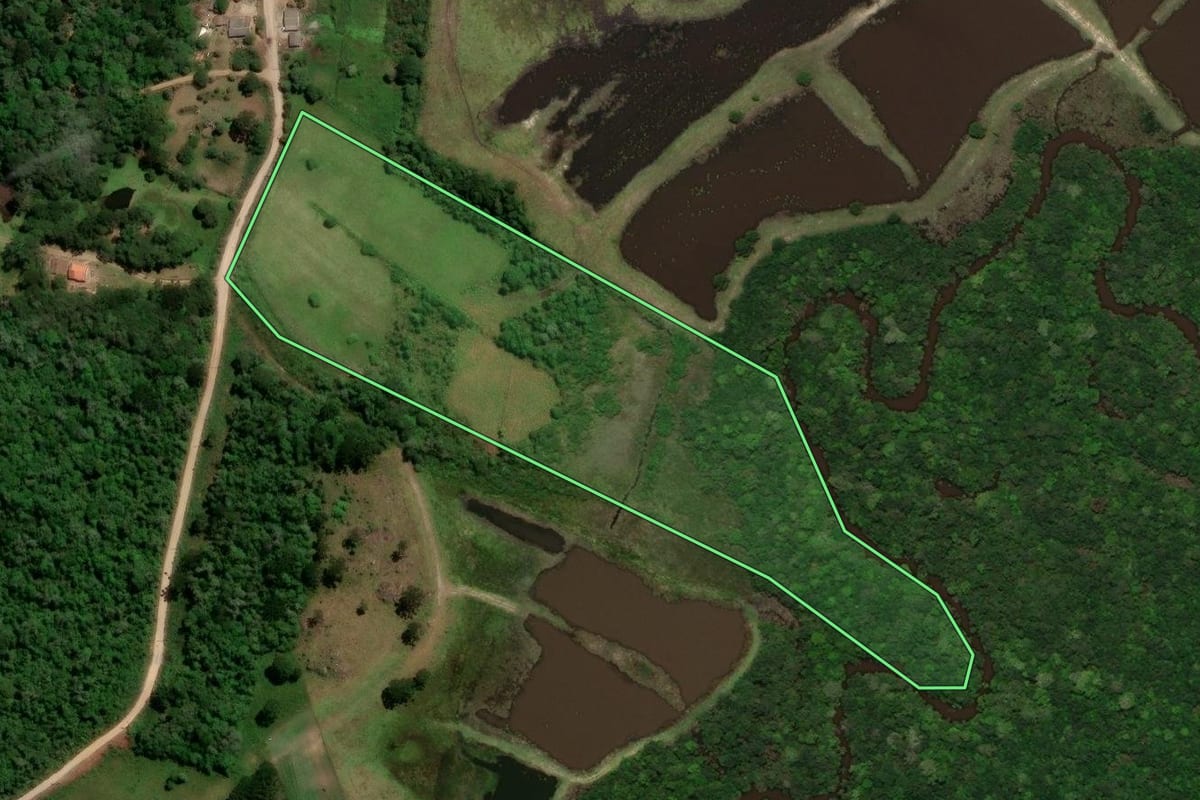 Imagem de satélite do imóvel rural em Mandirituba (PR), com o contorno declarado no CAR desenhado por cima.