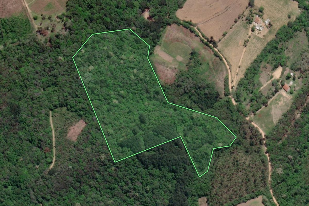 Imagem de satélite do imóvel rural em Mandirituba (PR), com o contorno declarado no CAR desenhado por cima.