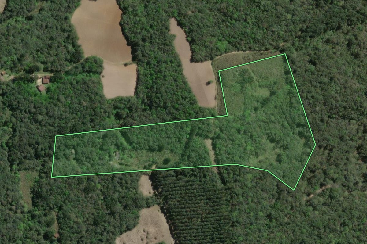 Imagem de satélite do imóvel rural em Mandirituba (PR), com o contorno declarado no CAR desenhado por cima.