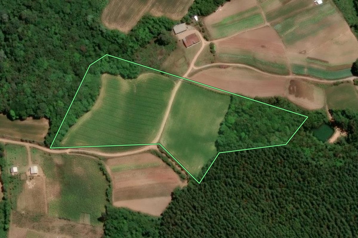Imagem de satélite do imóvel rural em Mandirituba (PR), com o contorno declarado no CAR desenhado por cima.
