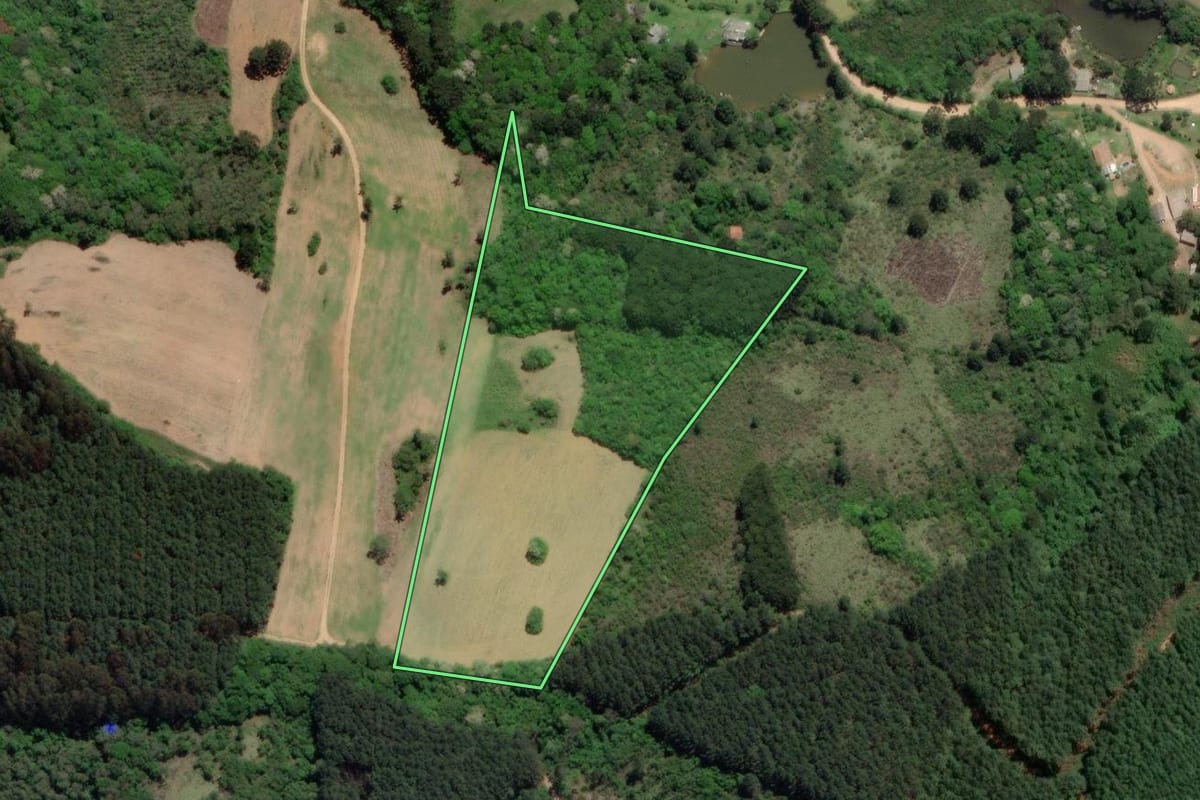 Imagem de satélite do imóvel rural em Mandirituba (PR), com o contorno declarado no CAR desenhado por cima.