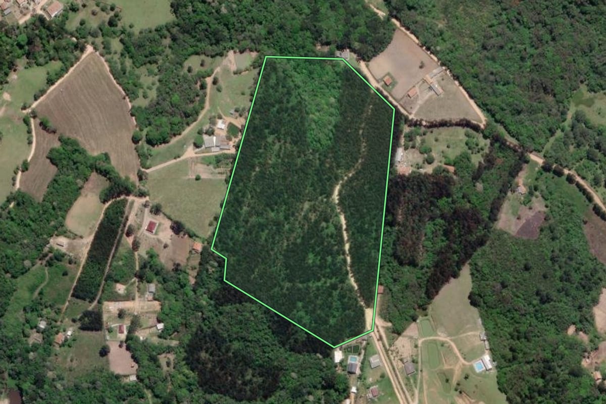 Imagem de satélite do imóvel rural em Mandirituba (PR), com o contorno declarado no CAR desenhado por cima.
