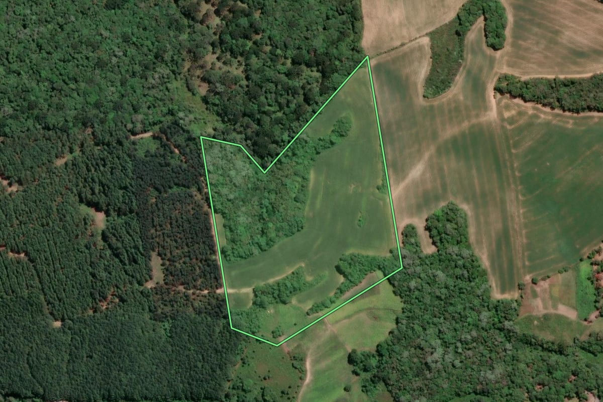 Imagem de satélite do imóvel rural em Mandirituba (PR), com o contorno declarado no CAR desenhado por cima.