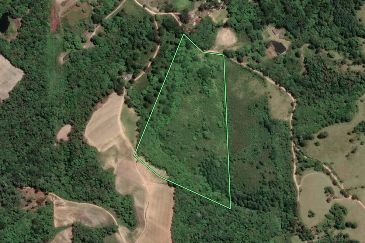 Imagem de satélite do imóvel rural em Mandirituba (PR), com o contorno declarado no CAR desenhado por cima.