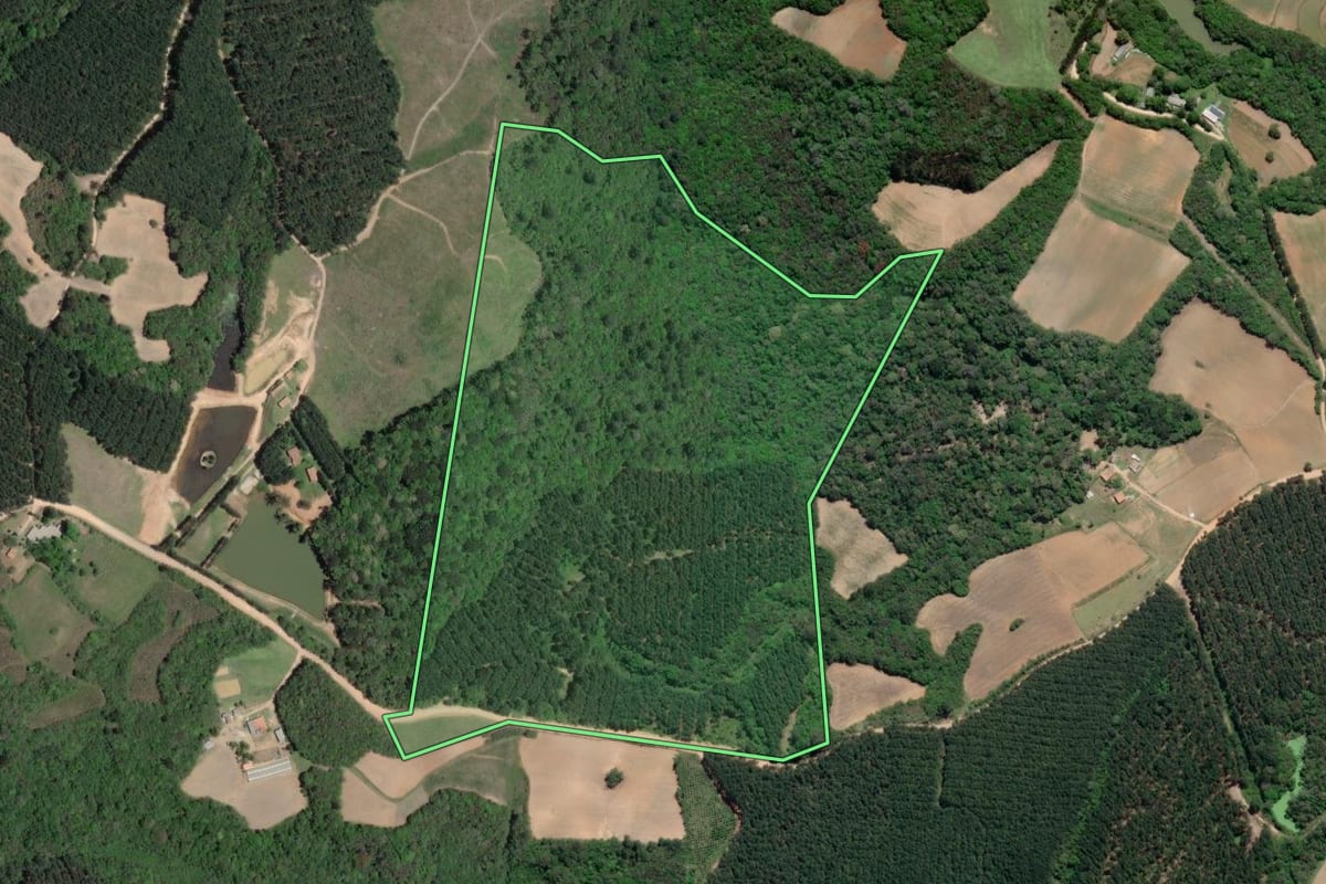 Imagem de satélite do imóvel rural em Mandirituba (PR), com o contorno declarado no CAR desenhado por cima.