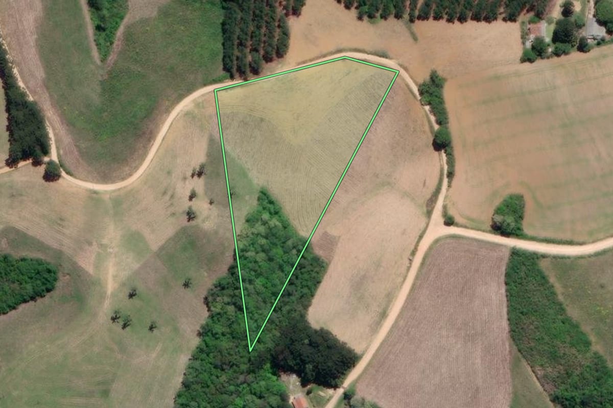 Imagem de satélite do imóvel rural em Mandirituba (PR), com o contorno declarado no CAR desenhado por cima.