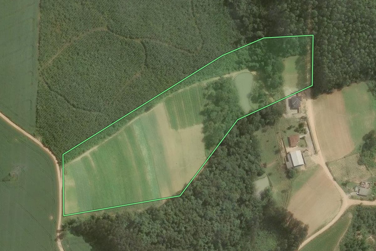 Imagem de satélite do imóvel rural em Mandirituba (PR), com o contorno declarado no CAR desenhado por cima.