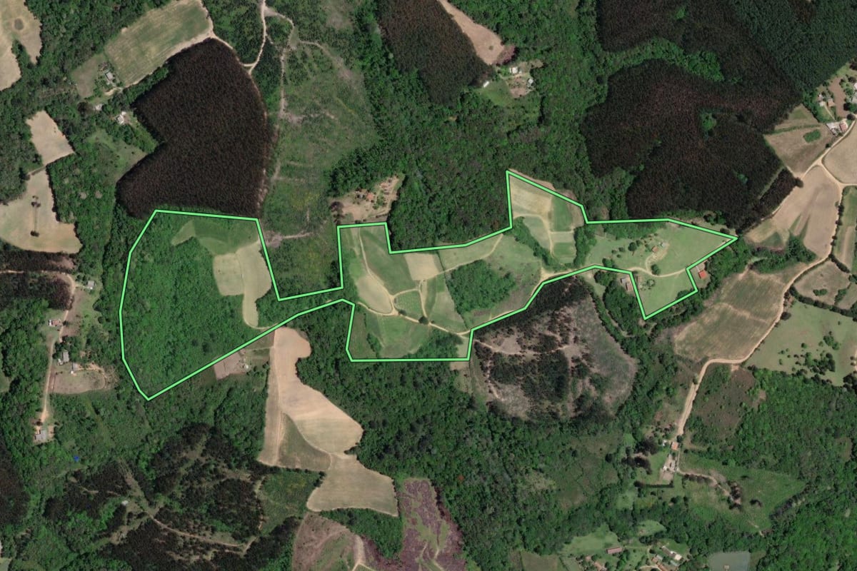 Imagem de satélite do imóvel rural em Mandirituba (PR), com o contorno declarado no CAR desenhado por cima.