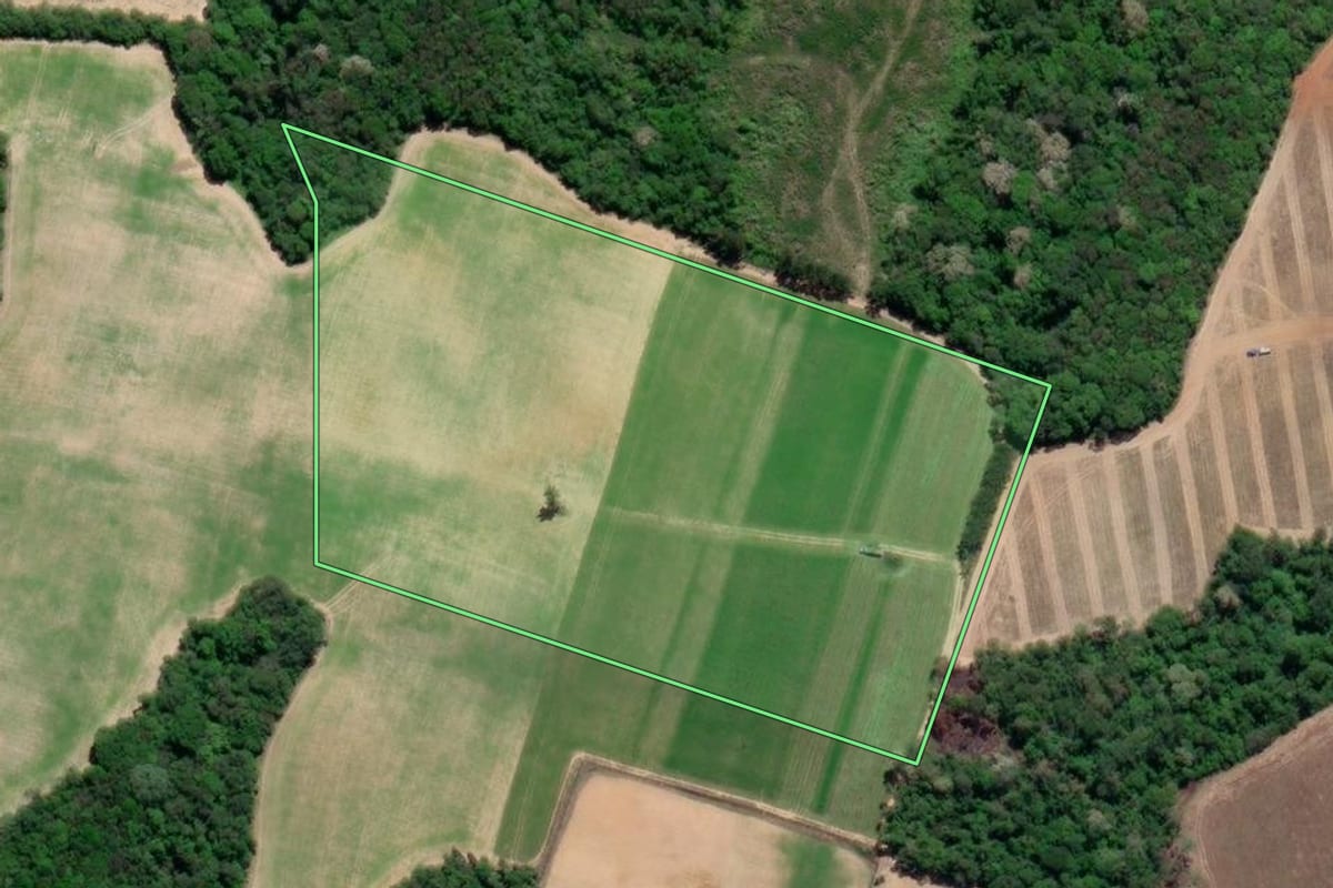 Imagem de satélite do imóvel rural em Mandirituba (PR), com o contorno declarado no CAR desenhado por cima.