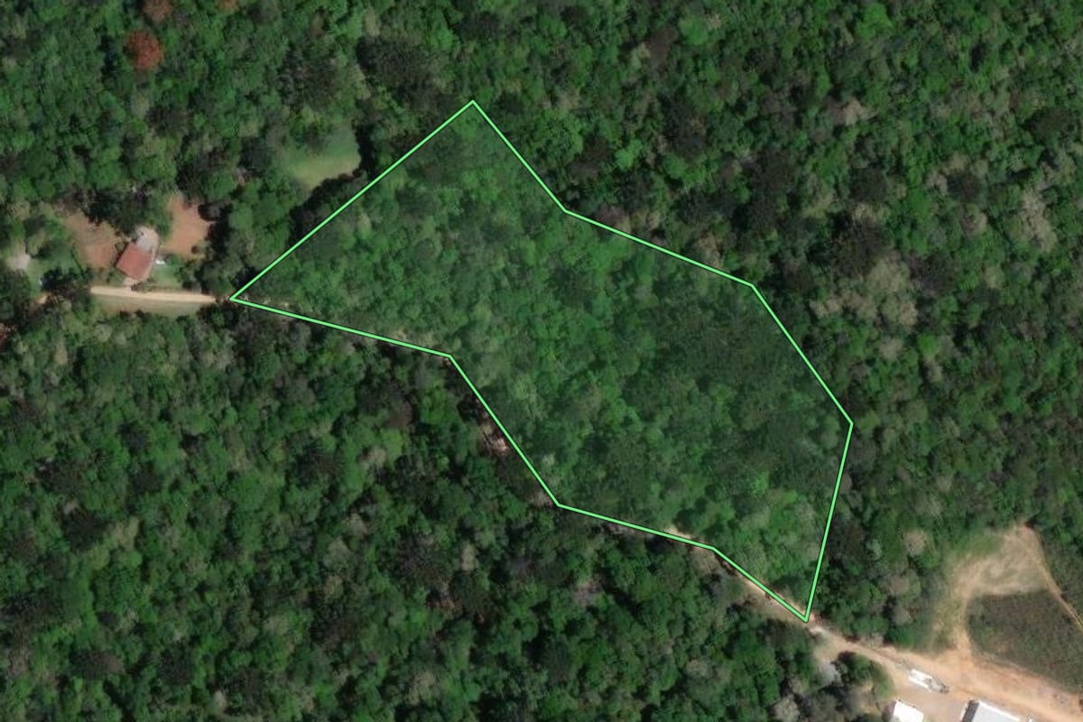 Imagem de satélite do imóvel rural em Mandirituba (PR), com o contorno declarado no CAR desenhado por cima.