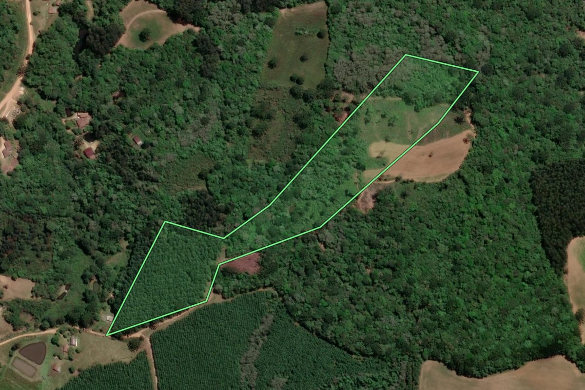 Imagem de satélite do imóvel rural em Mandirituba (PR), com o contorno declarado no CAR desenhado por cima.