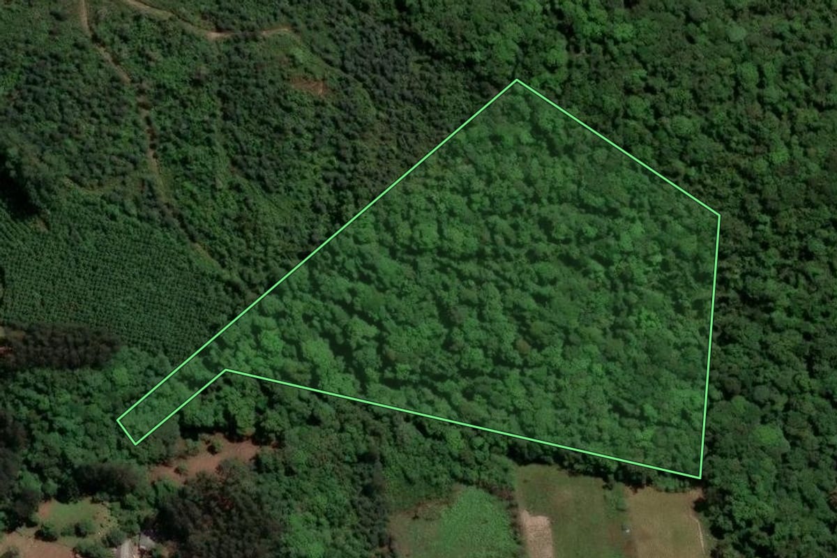 Imagem de satélite do imóvel rural em Mandirituba (PR), com o contorno declarado no CAR desenhado por cima.