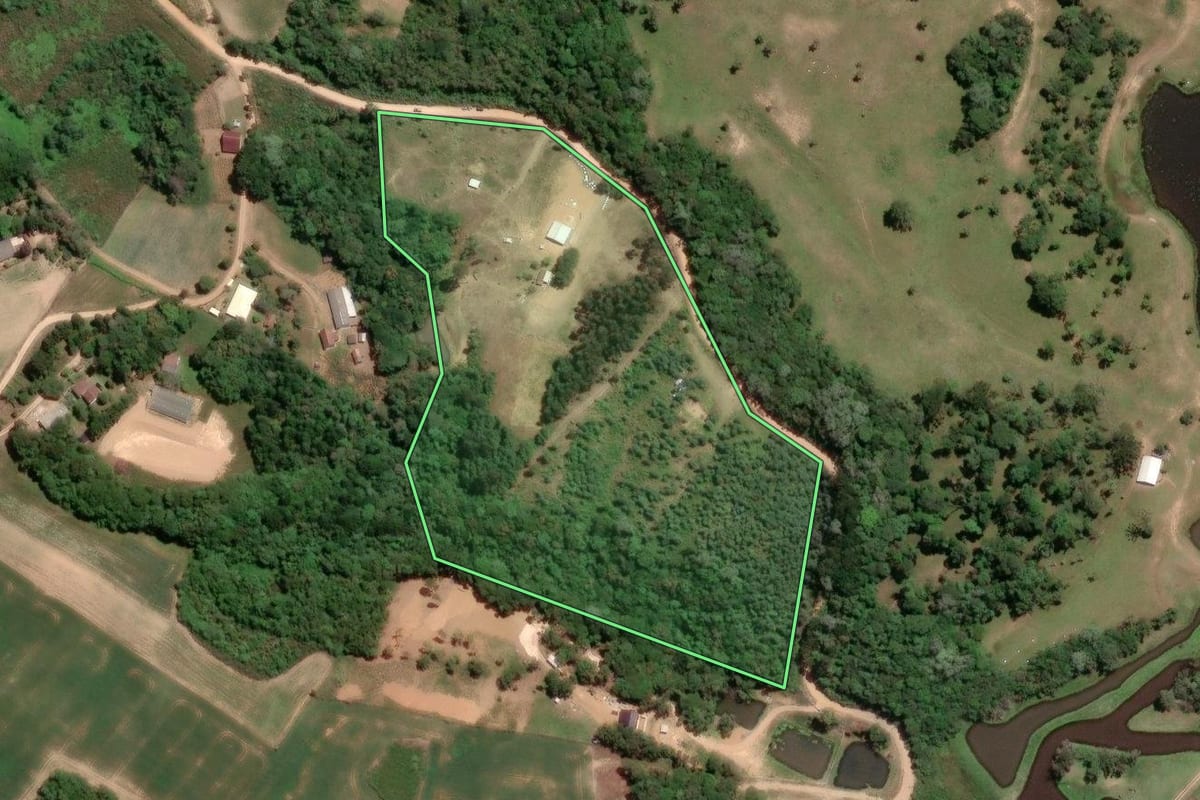 Imagem de satélite do imóvel rural em Mandirituba (PR), com o contorno declarado no CAR desenhado por cima.