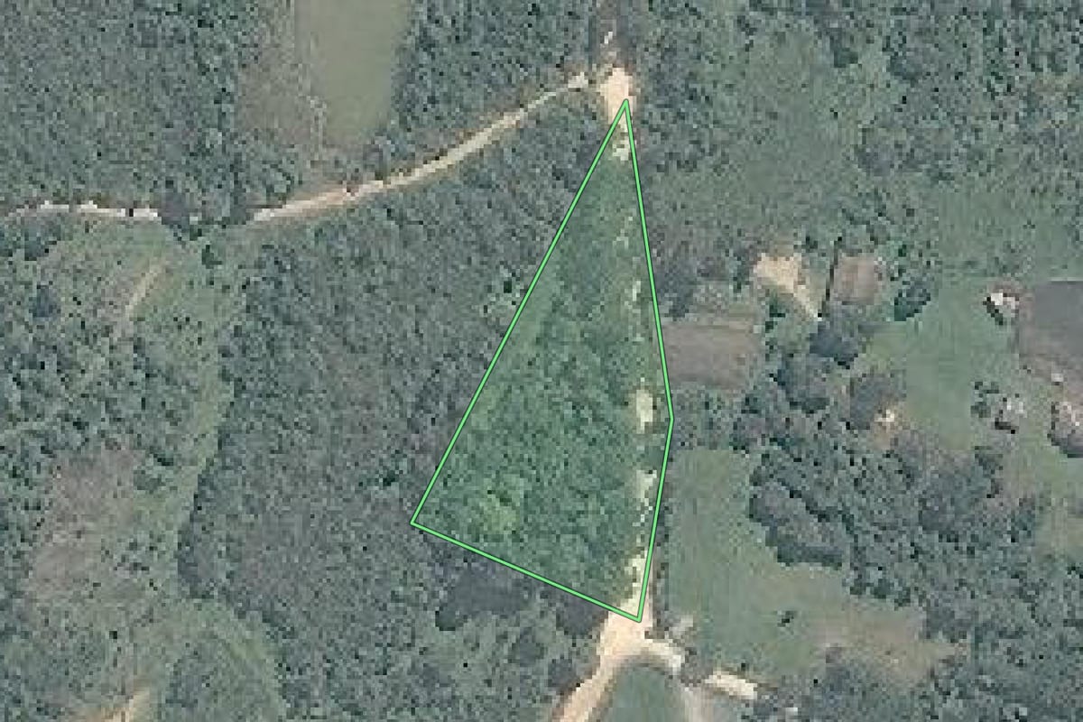 Imagem de satélite do imóvel rural em Mandirituba (PR), com o contorno declarado no CAR desenhado por cima.