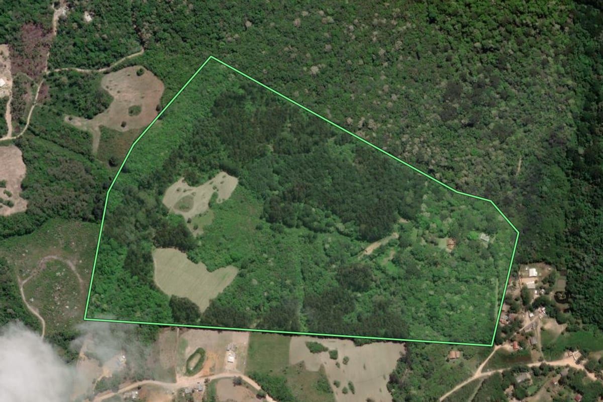 Imagem de satélite do imóvel rural em Mandirituba (PR), com o contorno declarado no CAR desenhado por cima.
