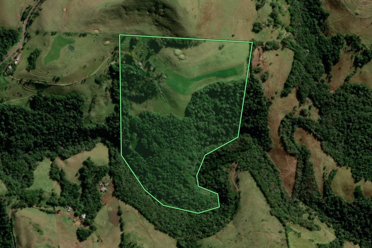 Imagem de satélite do imóvel rural em Manfrinópolis (PR), com o contorno declarado no CAR desenhado por cima.