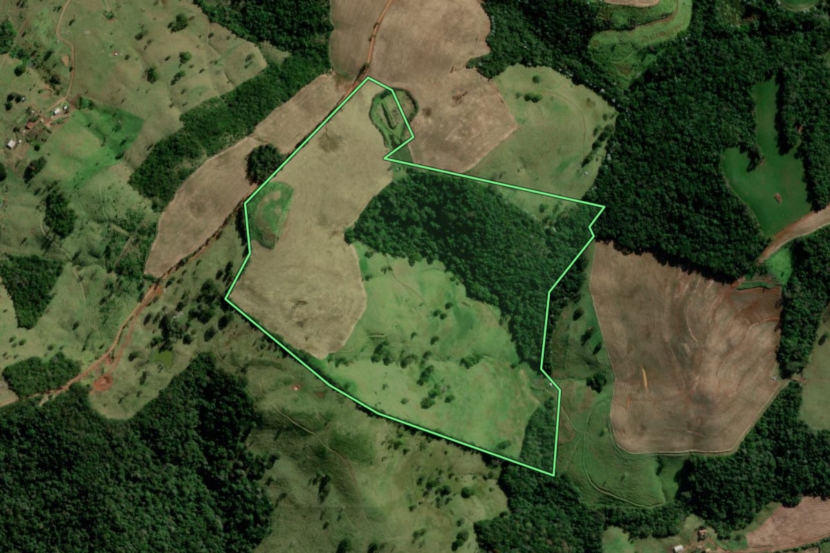 Imagem de satélite do imóvel rural em Manfrinópolis (PR), com o contorno declarado no CAR desenhado por cima.