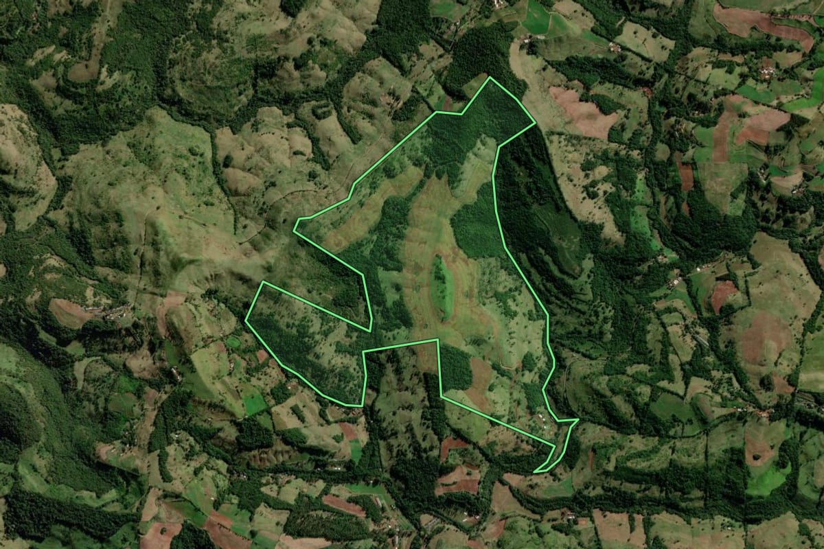Imagem de satélite do imóvel rural em Manfrinópolis (PR), com o contorno declarado no CAR desenhado por cima.