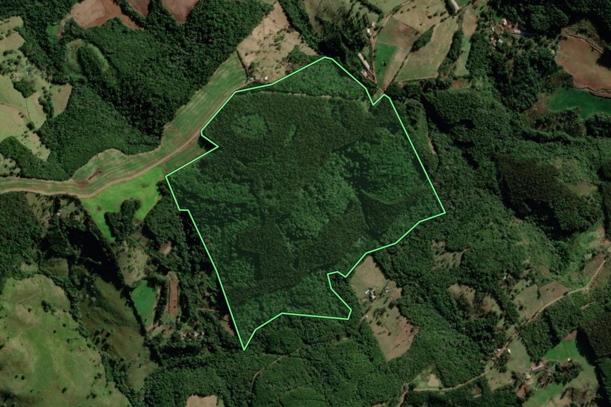 Imagem de satélite do imóvel rural em Manfrinópolis (PR), com o contorno declarado no CAR desenhado por cima.