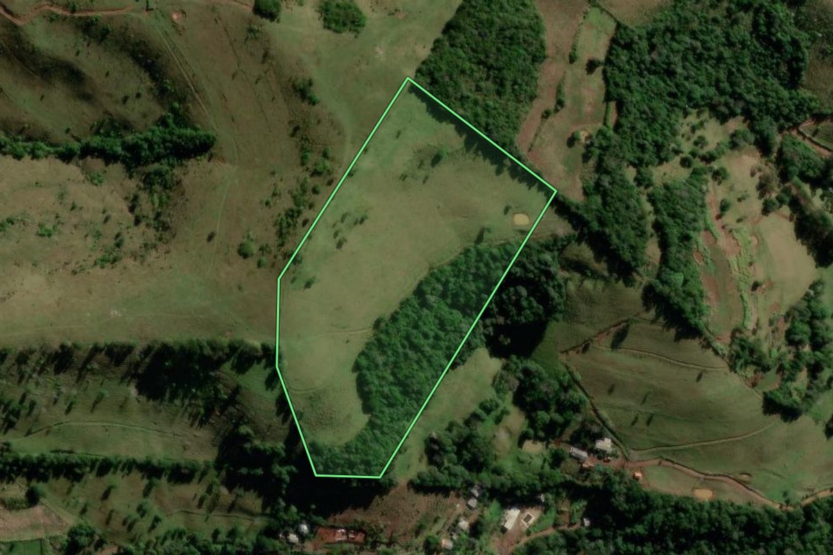 Imagem de satélite do imóvel rural em Manfrinópolis (PR), com o contorno declarado no CAR desenhado por cima.