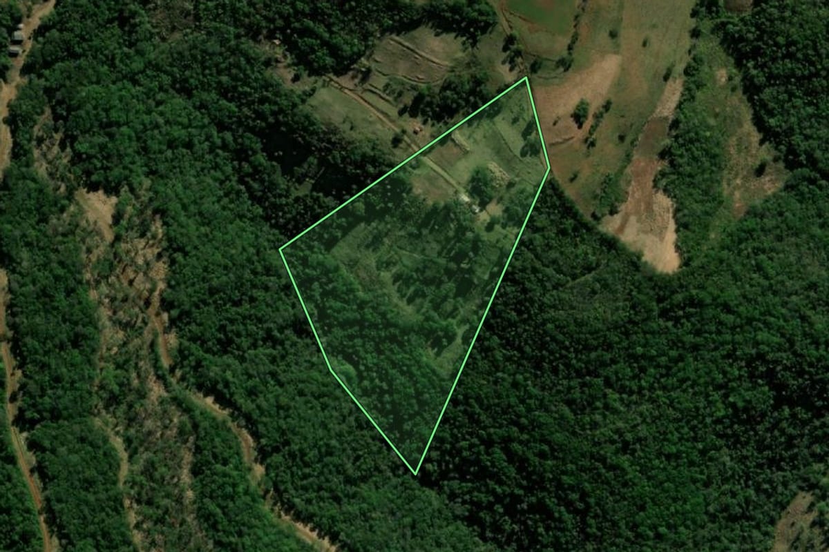 Imagem de satélite do imóvel rural em Manfrinópolis (PR), com o contorno declarado no CAR desenhado por cima.
