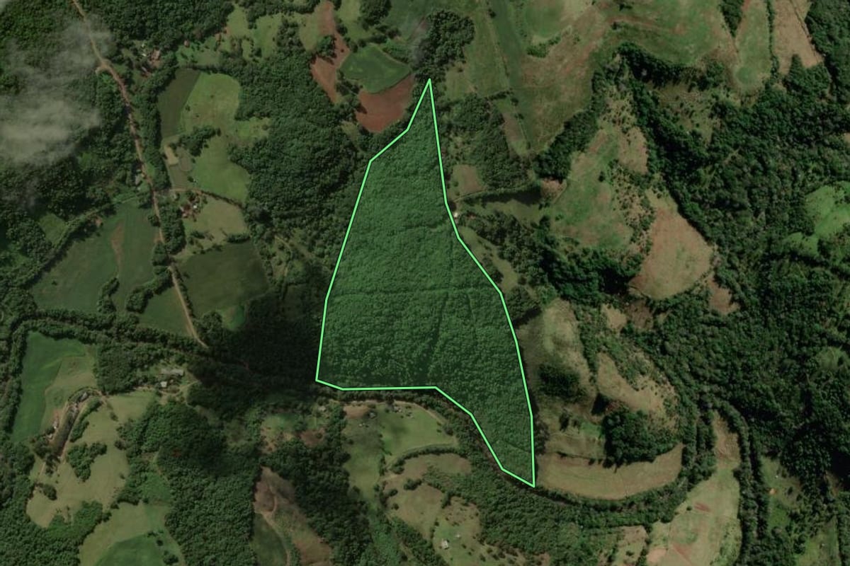 Imagem de satélite do imóvel rural em Manfrinópolis (PR), com o contorno declarado no CAR desenhado por cima.