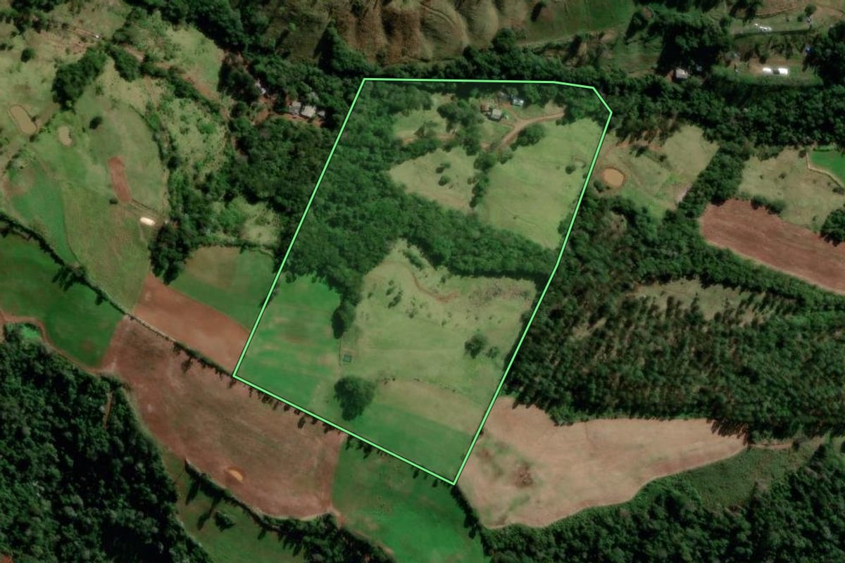 Imagem de satélite do imóvel rural em Manfrinópolis (PR), com o contorno declarado no CAR desenhado por cima.