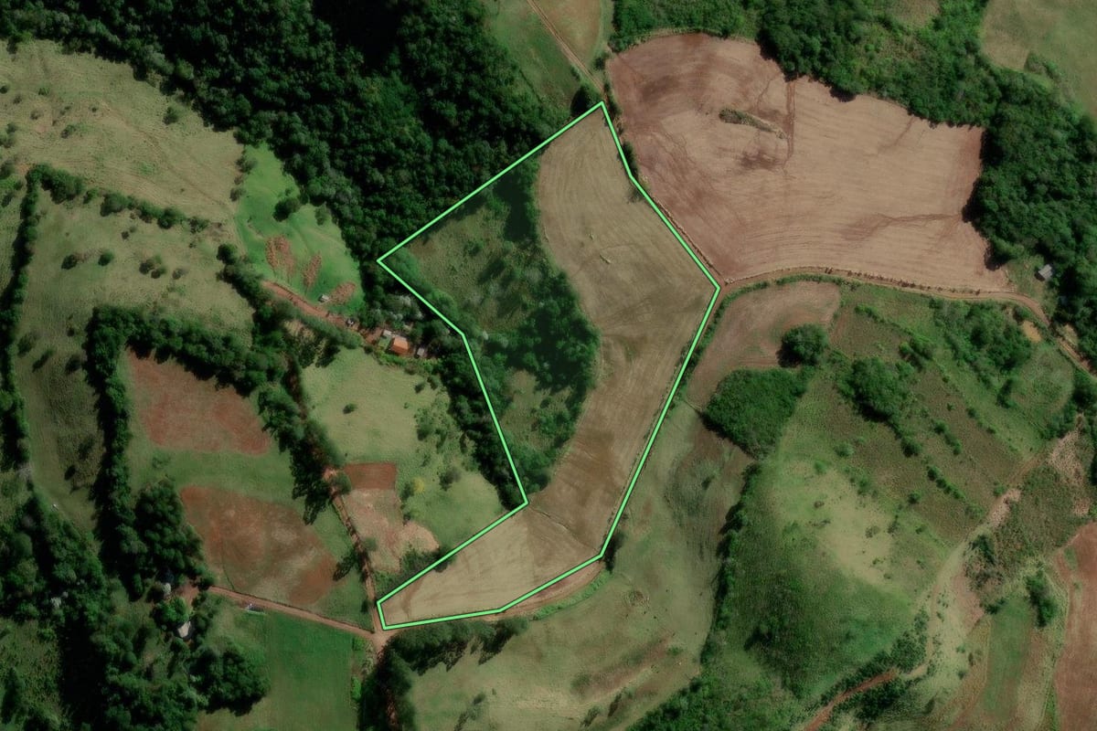 Imagem de satélite do imóvel rural em Manfrinópolis (PR), com o contorno declarado no CAR desenhado por cima.