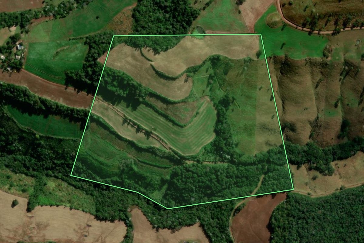 Imagem de satélite do imóvel rural em Manfrinópolis (PR), com o contorno declarado no CAR desenhado por cima.