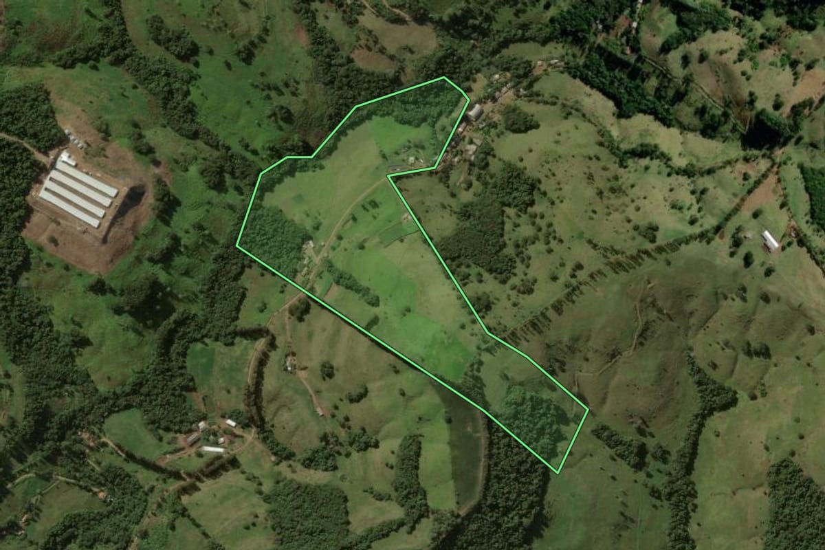 Imagem de satélite do imóvel rural em Manfrinópolis (PR), com o contorno declarado no CAR desenhado por cima.