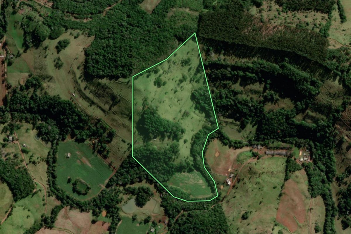 Imagem de satélite do imóvel rural em Manfrinópolis (PR), com o contorno declarado no CAR desenhado por cima.