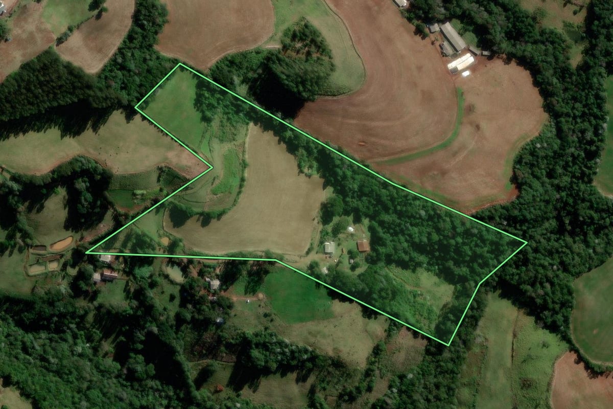 Imagem de satélite do imóvel rural em Manfrinópolis (PR), com o contorno declarado no CAR desenhado por cima.