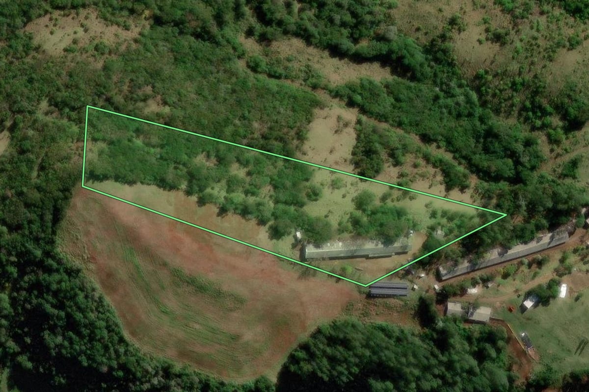 Imagem de satélite do imóvel rural em Manfrinópolis (PR), com o contorno declarado no CAR desenhado por cima.