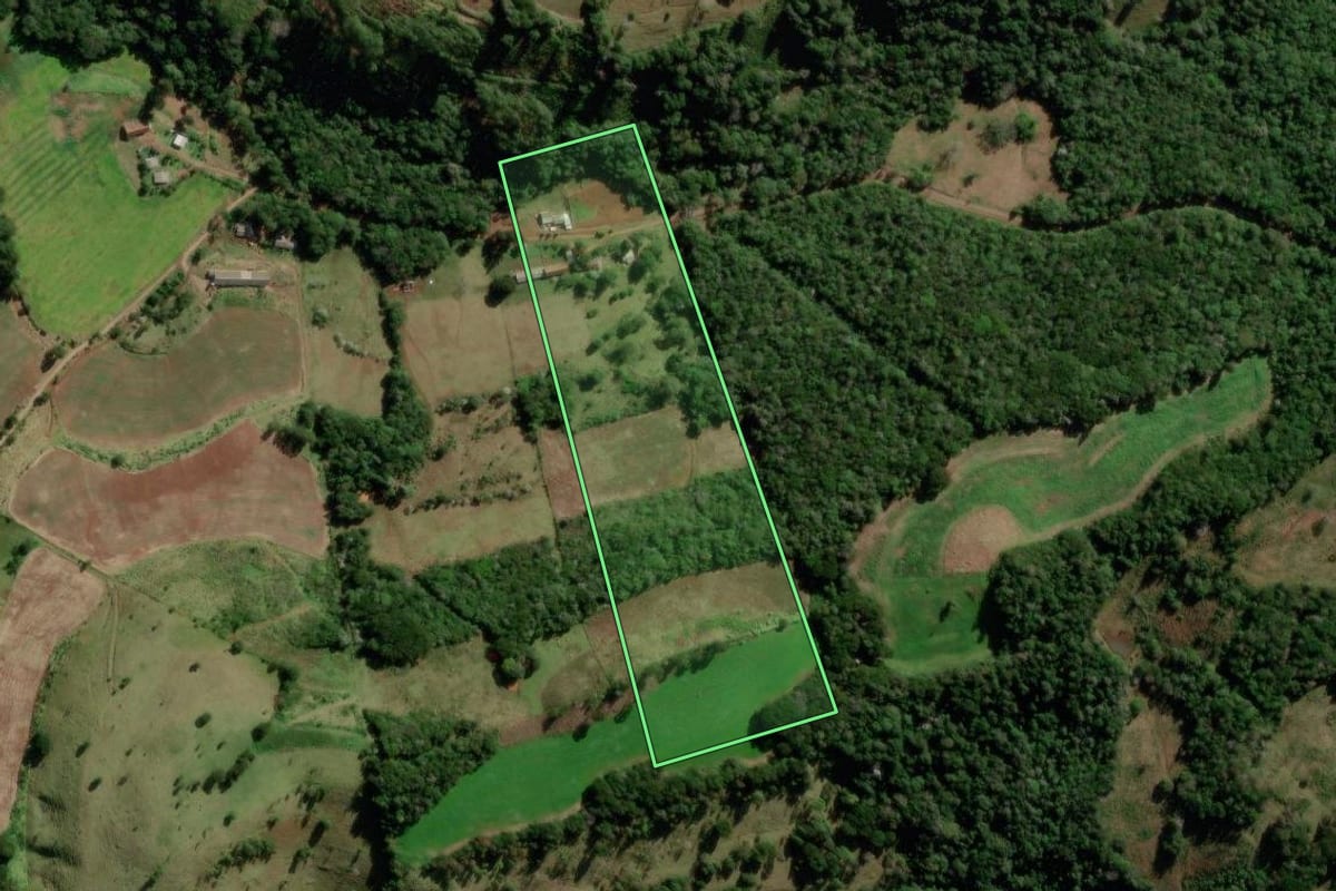 Imagem de satélite do imóvel rural em Manfrinópolis (PR), com o contorno declarado no CAR desenhado por cima.