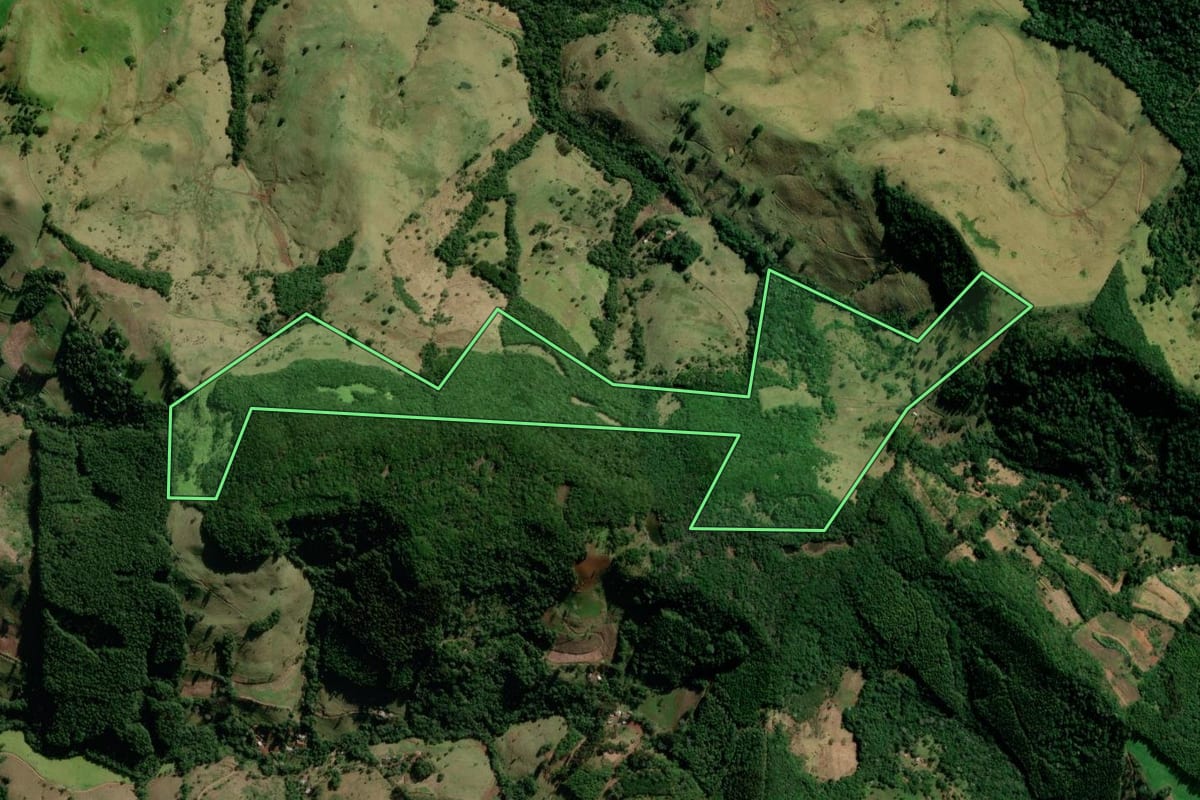 Imagem de satélite do imóvel rural em Manfrinópolis (PR), com o contorno declarado no CAR desenhado por cima.