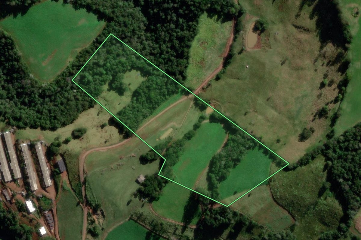 Imagem de satélite do imóvel rural em Manfrinópolis (PR), com o contorno declarado no CAR desenhado por cima.
