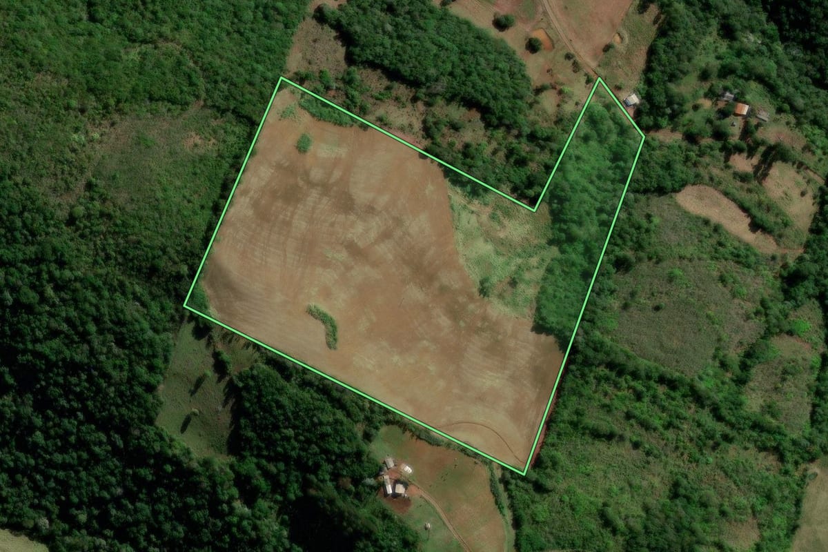 Imagem de satélite do imóvel rural em Manfrinópolis (PR), com o contorno declarado no CAR desenhado por cima.
