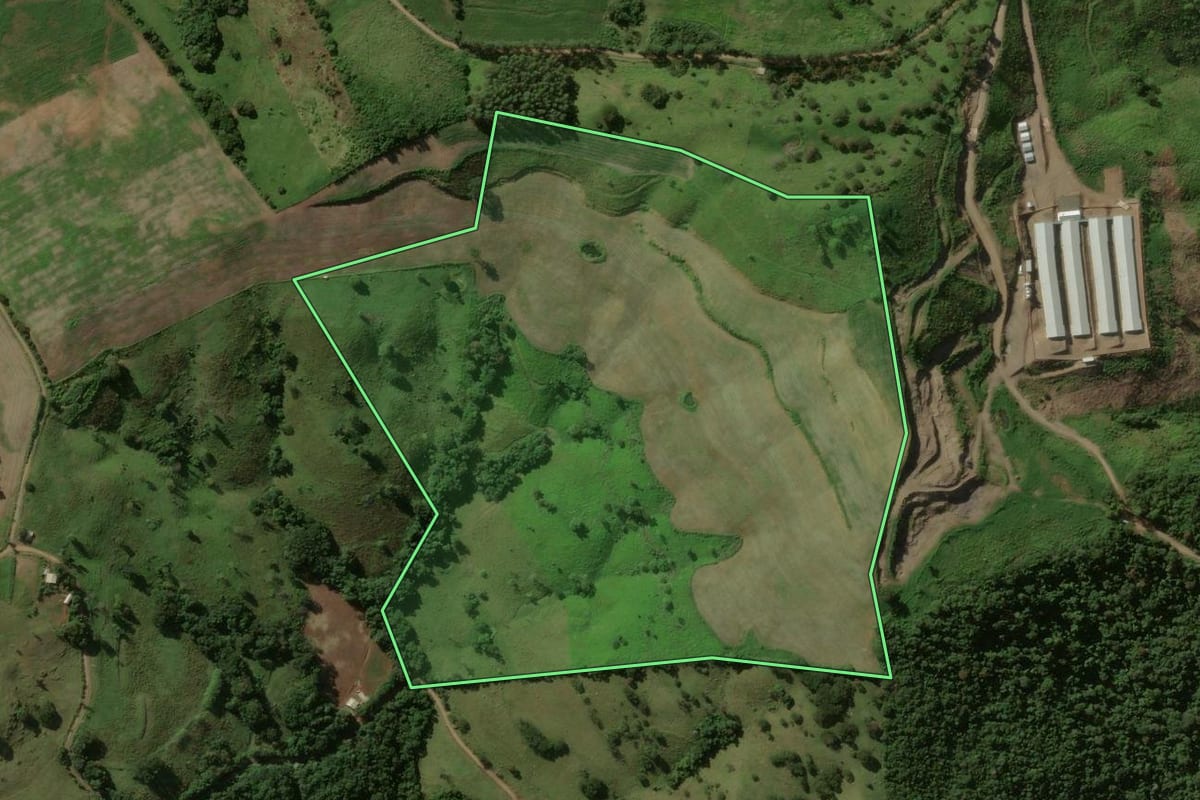 Imagem de satélite do imóvel rural em Manfrinópolis (PR), com o contorno declarado no CAR desenhado por cima.