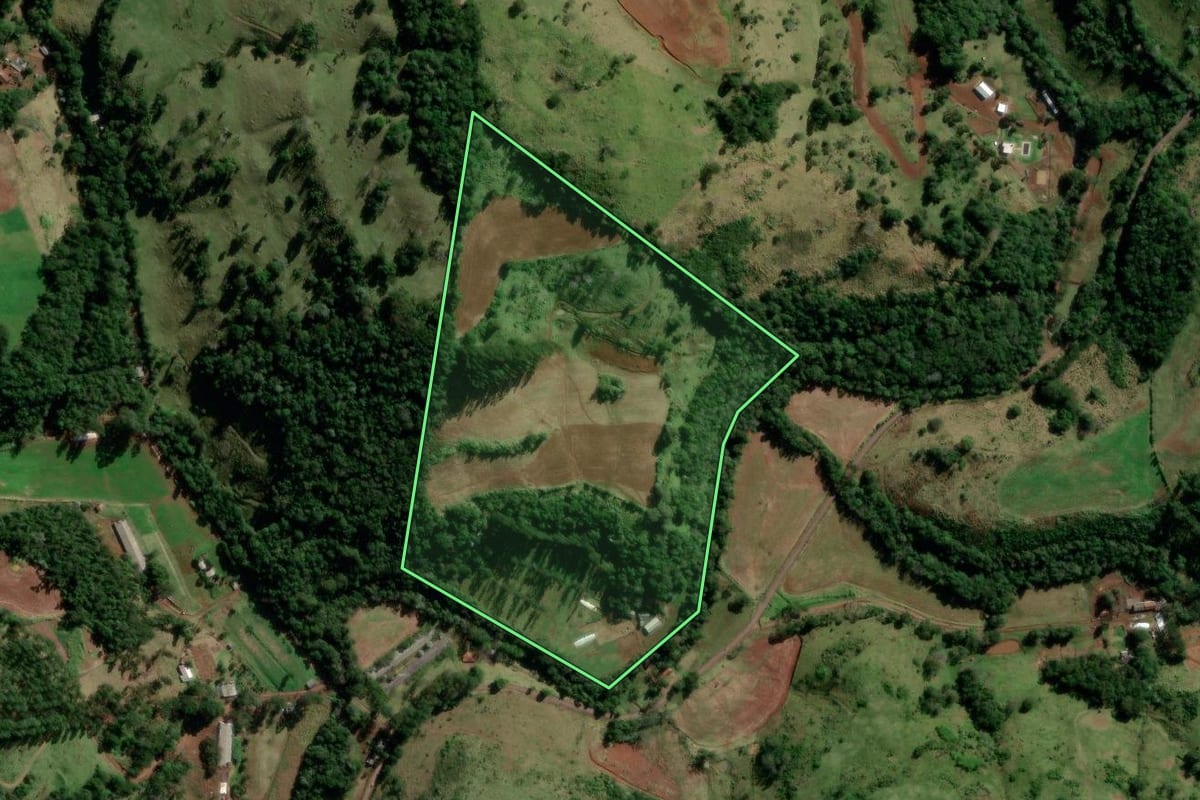 Imagem de satélite do imóvel rural em Manfrinópolis (PR), com o contorno declarado no CAR desenhado por cima.