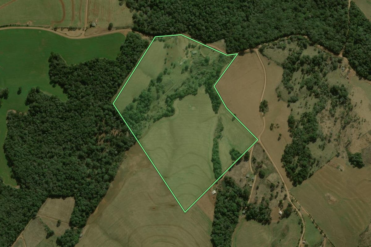Imagem de satélite do imóvel rural em Mangueirinha (PR), com o contorno declarado no CAR desenhado por cima.