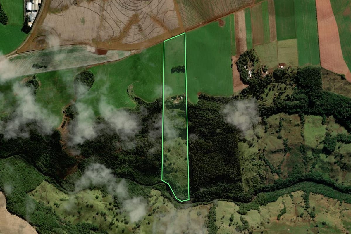 Imagem de satélite do imóvel rural em Mangueirinha (PR), com o contorno declarado no CAR desenhado por cima.