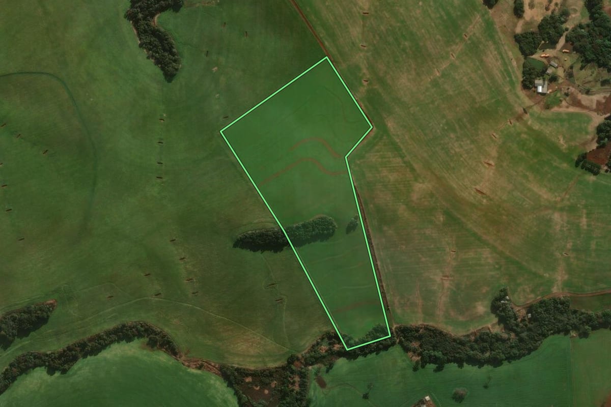 Imagem de satélite do imóvel rural em Mangueirinha (PR), com o contorno declarado no CAR desenhado por cima.