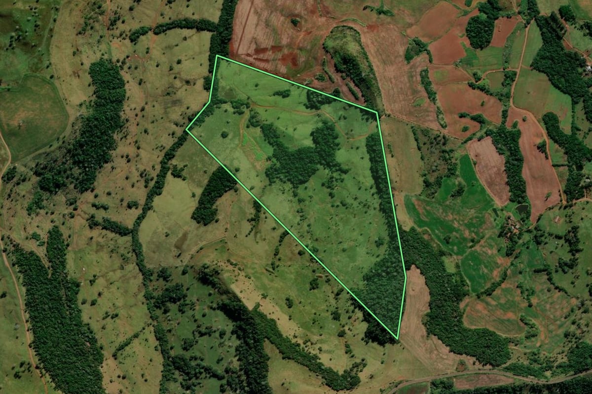Imagem de satélite do imóvel rural em Mangueirinha (PR), com o contorno declarado no CAR desenhado por cima.