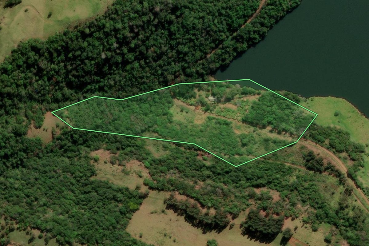 Imagem de satélite do imóvel rural em Mangueirinha (PR), com o contorno declarado no CAR desenhado por cima.