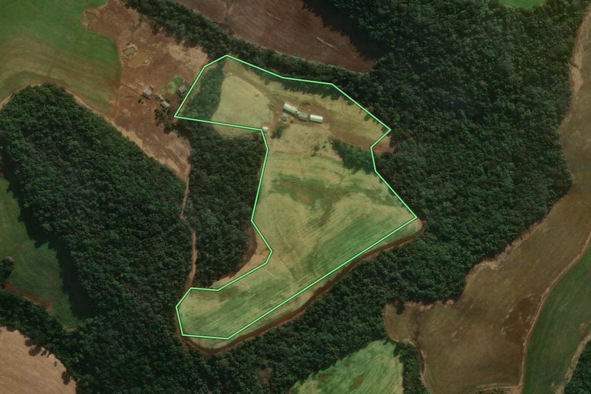 Imagem de satélite do imóvel rural em Mangueirinha (PR), com o contorno declarado no CAR desenhado por cima.