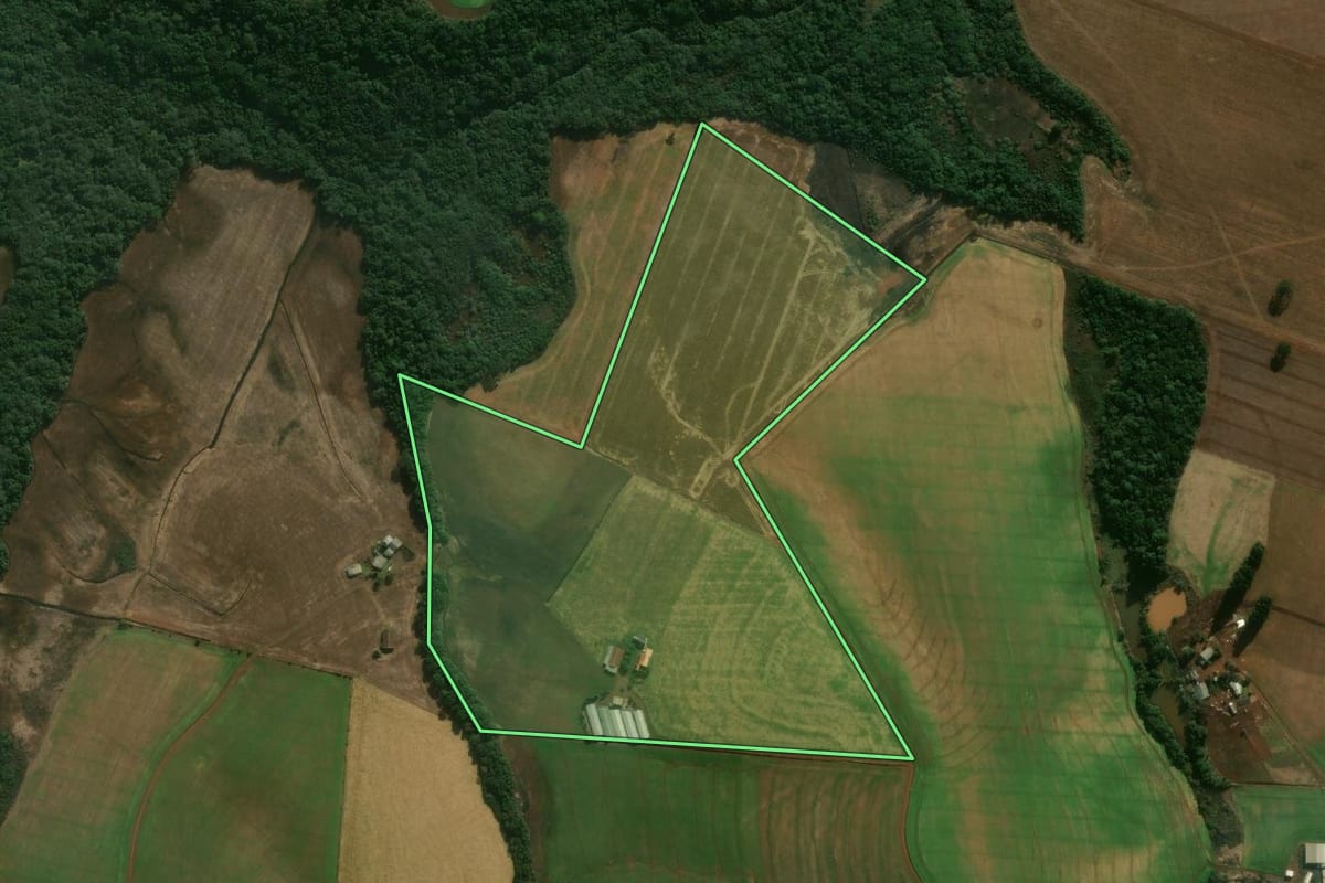 Imagem de satélite do imóvel rural em Mangueirinha (PR), com o contorno declarado no CAR desenhado por cima.