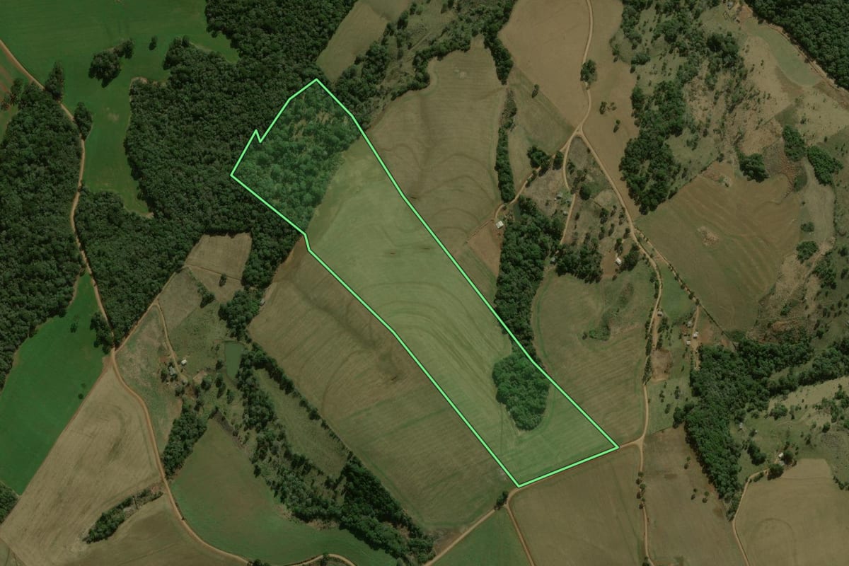 Imagem de satélite do imóvel rural em Mangueirinha (PR), com o contorno declarado no CAR desenhado por cima.