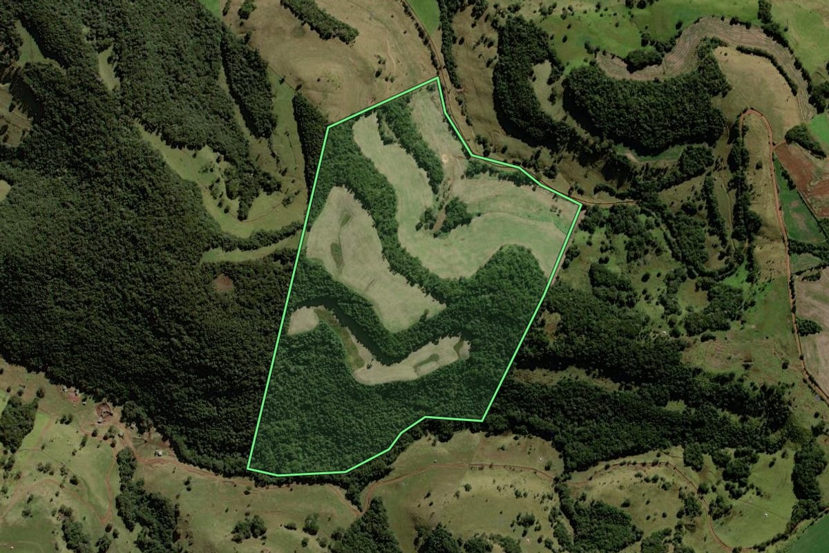 Imagem de satélite do imóvel rural em Mangueirinha (PR), com o contorno declarado no CAR desenhado por cima.