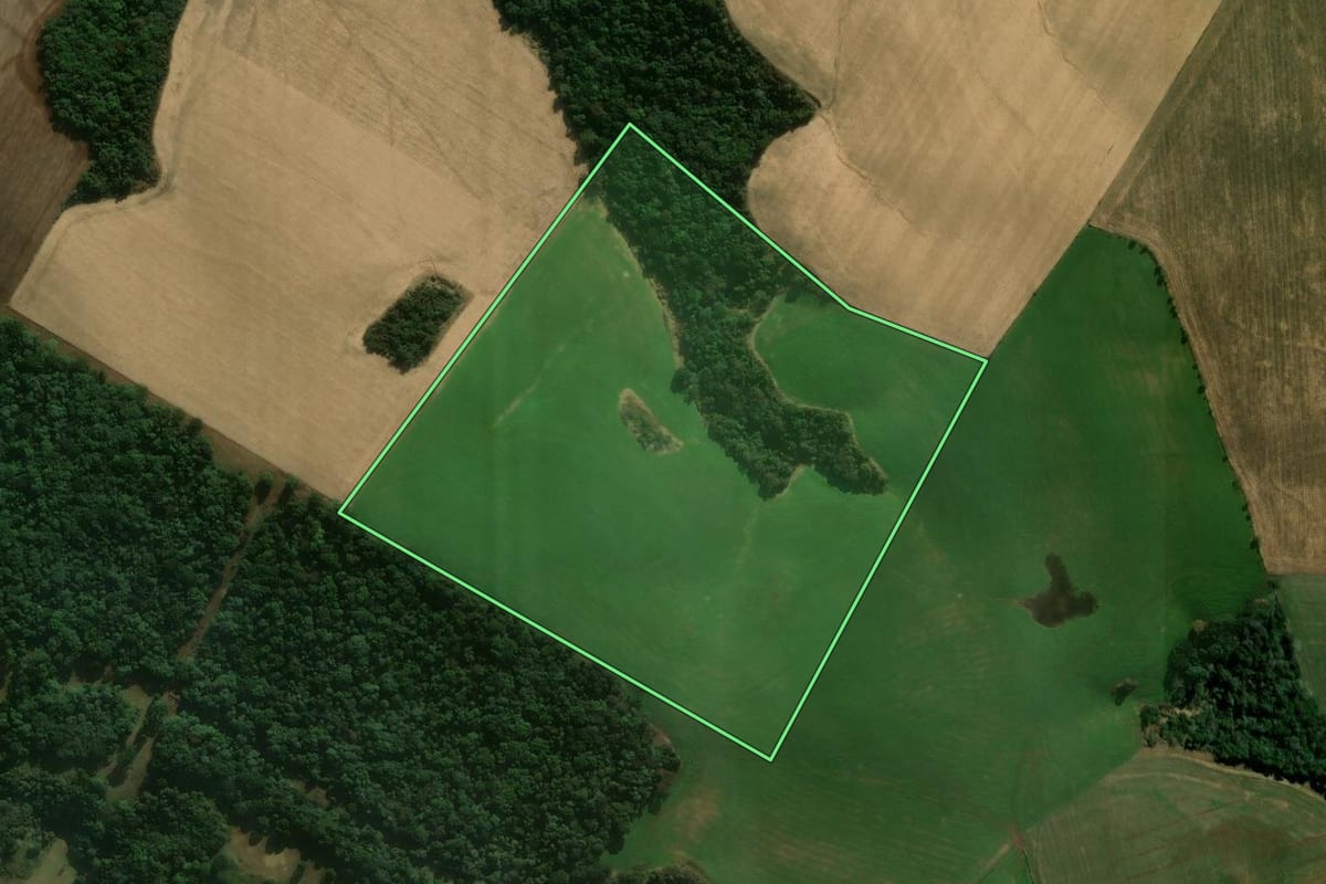 Imagem de satélite do imóvel rural em Mangueirinha (PR), com o contorno declarado no CAR desenhado por cima.